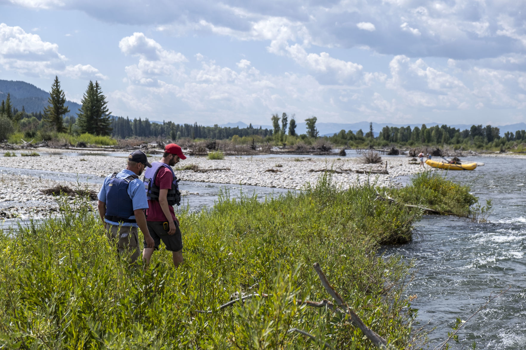 Teton County Weed and Pest
